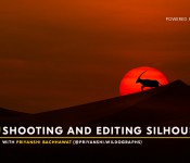 SHOOTING AND EDITING SILHOUETTES