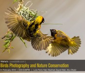 Birds Photography and Nature Conservation