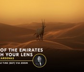 Beauty of the Emirates Through Your Lens