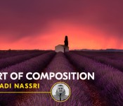 THE ART OF COMPOSITION