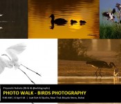 Season Ending Birds Photography Photo Walk 